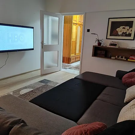 Spacious And Modern In Town Center Apartment