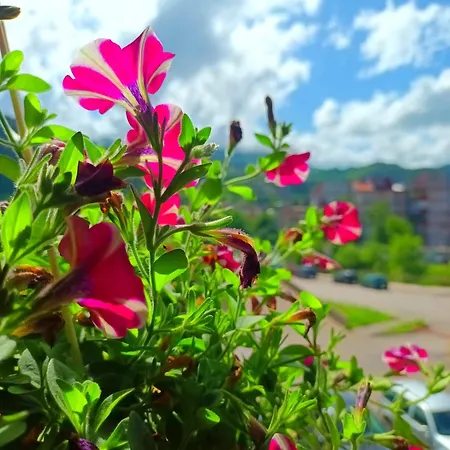 Spacious And Modern In Town Center * Konjic